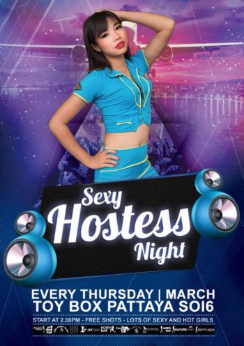 Sexy Thai Girls - Toy Box - Air Stewardess - Air Hostess Uniform Party (8)